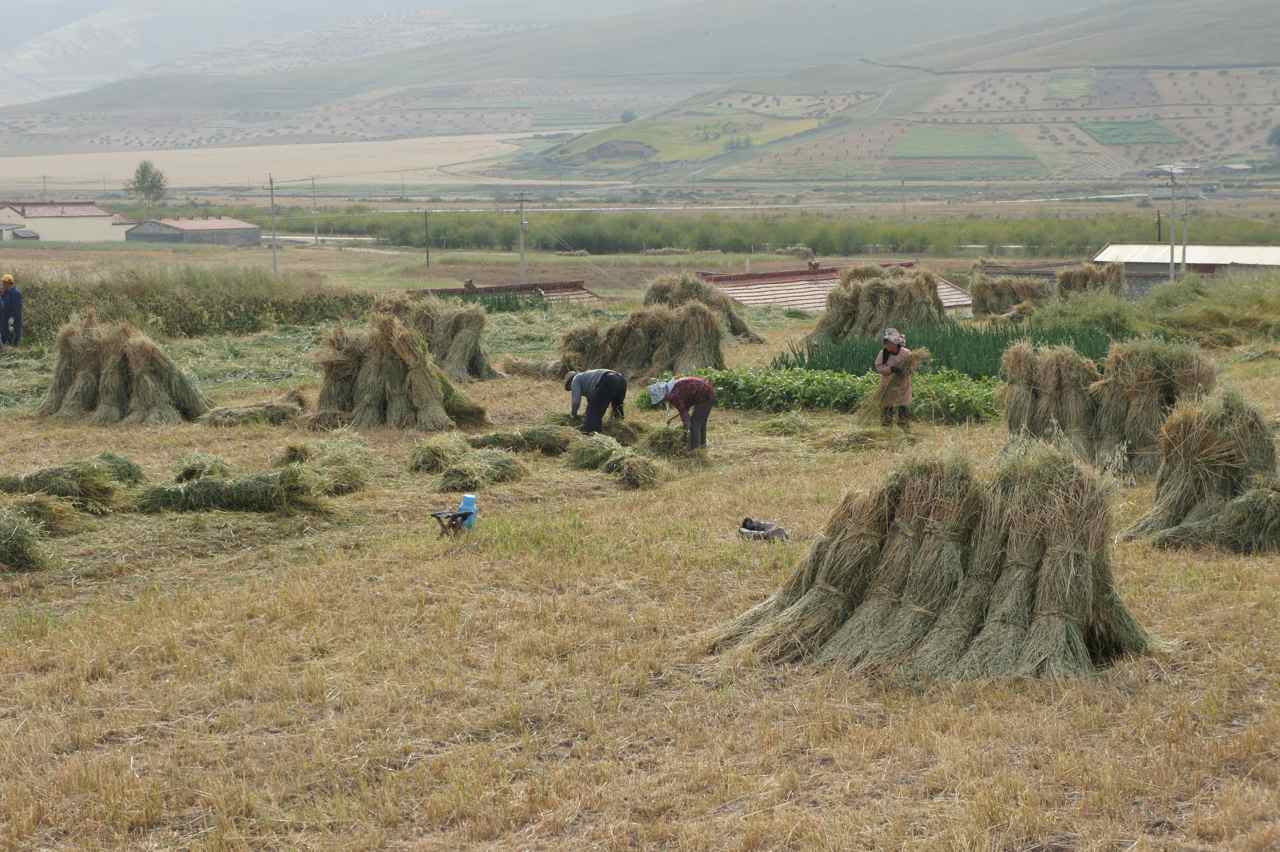 Farmers at work